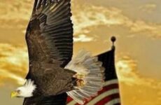Flying Amerian Eagle and Flag!