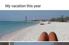 My vacation this year