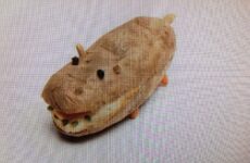 KIDDIE TREAT FOR TODAY!