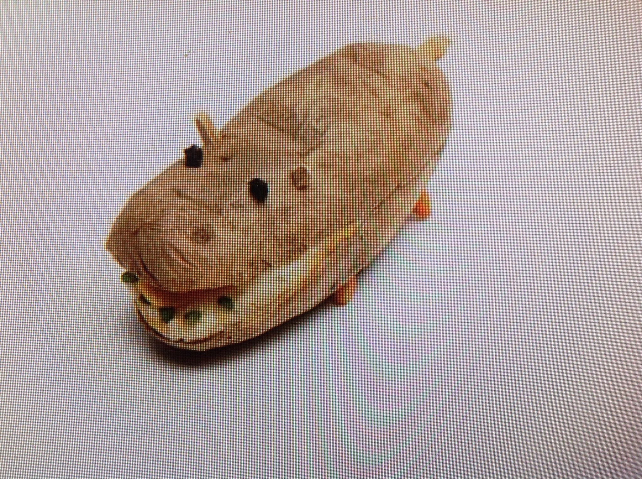 KIDDIE TREAT FOR TODAY!