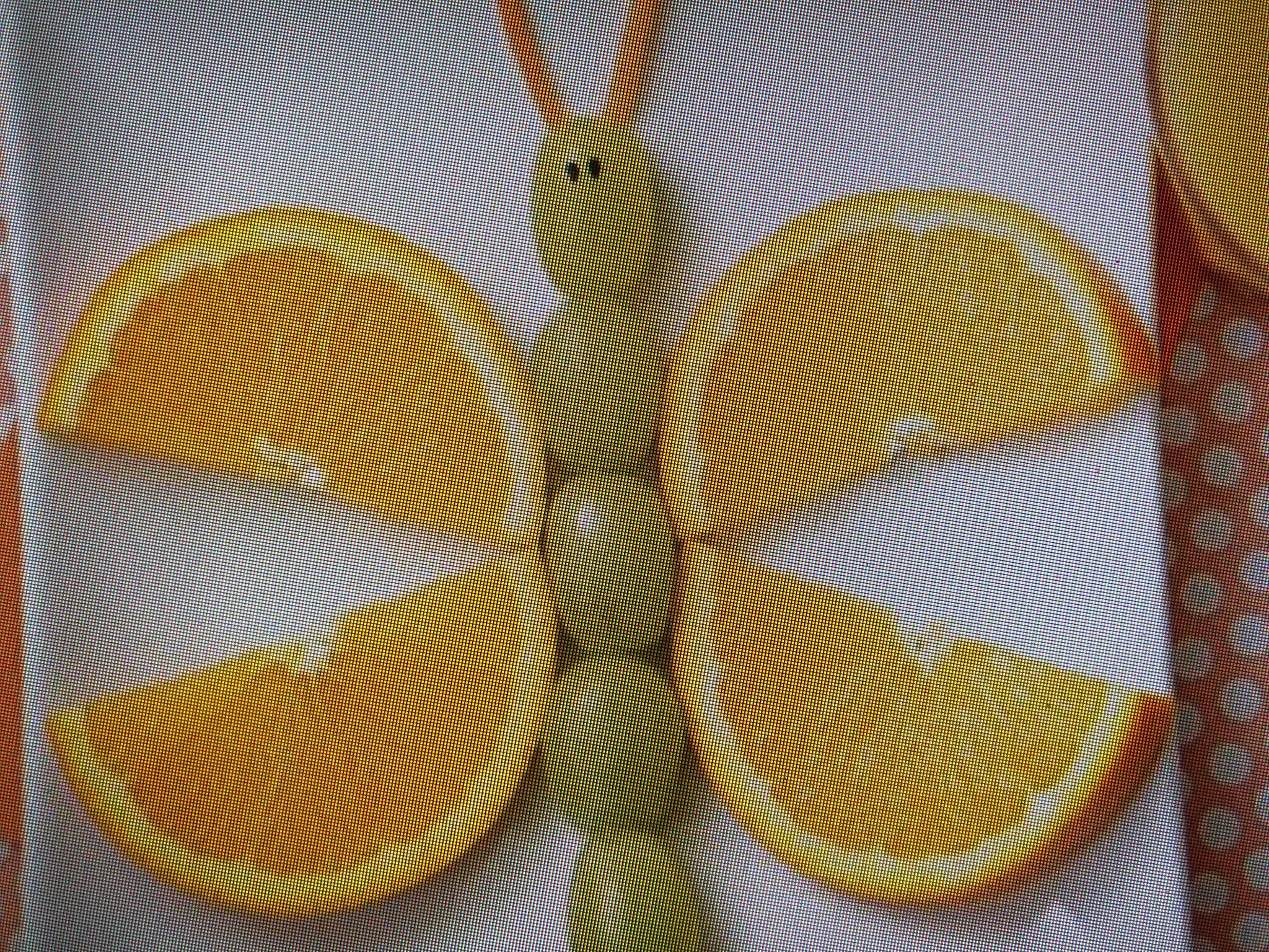 Kiddie's Treat for Today!