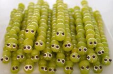 KIDDIE'S TREAT FOR TODAY!