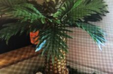 Kiddie and Adult Treat for the Day!