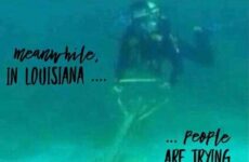 Meanwhile in Louisiana