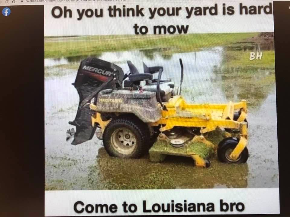 Some crazy rain every day