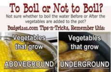 Today’s Tip. To Boil or Not To Boil!