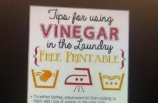 Today’s Tips on how to use Vinegar in the old Laundry Room!