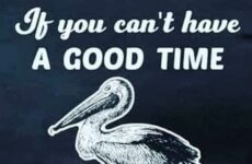 If you can't have a good time...