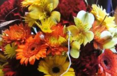 Getting ready for Fall and that Cold Front!