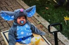 Cutest little mouse!