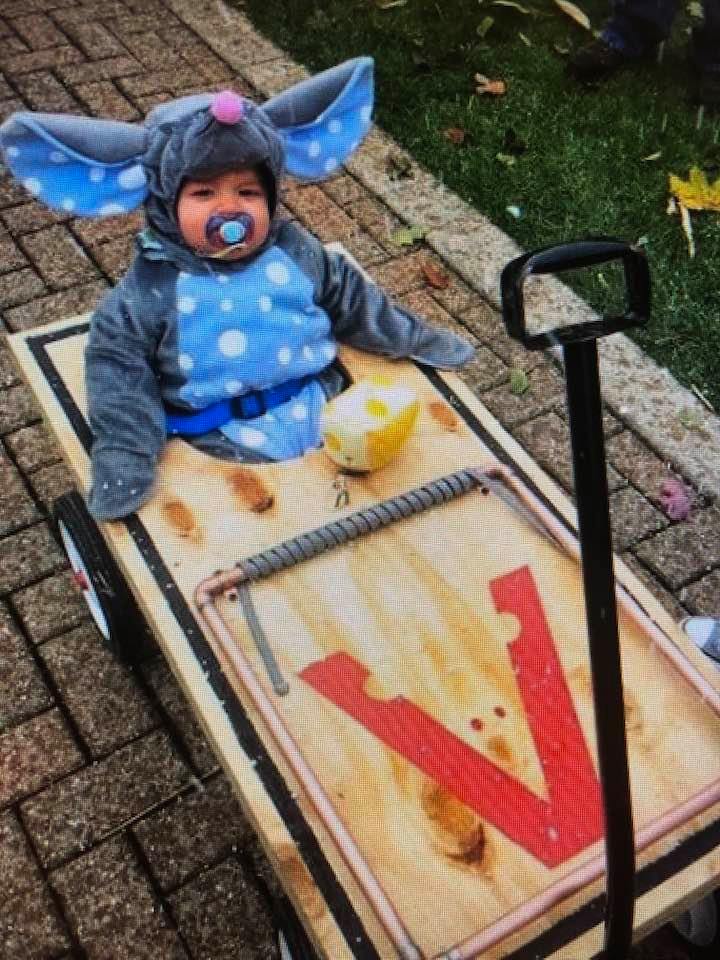 Cutest little mouse!