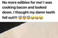 No more edibles for me!!!