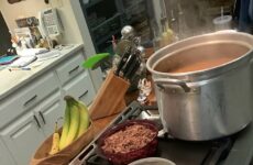 Turtle Soup in the making