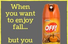 When you want to enjoy fall...