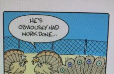 People struggle with math!