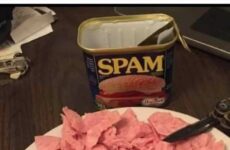 Just in case u need help in the turkey shortage!