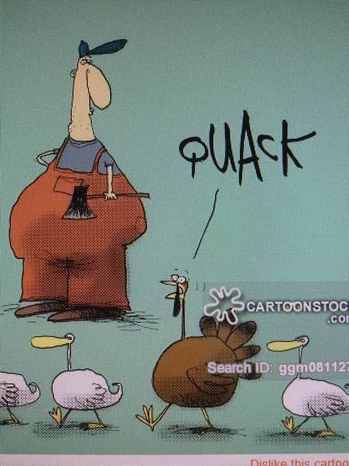 Nothing to see here...