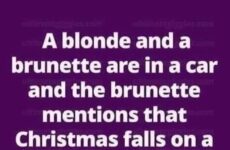 A blonde and a brunette