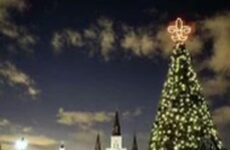 Christmas Trees around New Orleans