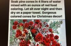 Gorgeous Colored Cones for Christmas
