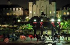 Horse and buggies in New Orleans