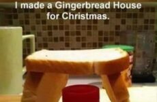 My Gingerbread House!