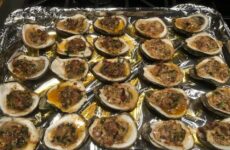 Today’s PRODUCT is one you will want for the upcoming holidays. It is from the BAYOU CARLIN OYSTER COMPANY. It is found in the frozen food section of stores. This I got from JOEY’S in Lafayette. It is a dozen frozen oysters. There are two flavors so far (one is GARLIC PARMESAN and the other is a BACON CHEESE TOPPING). They are in the shell and you can bake them or put them on the grill. No mess or high-end prep. Just love this product. Great for last minute apps or even for a meal. Check it out, if you like oysters, you will love this.
