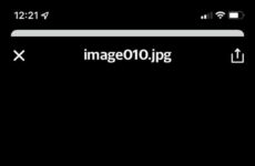 So hows the memory holding up....