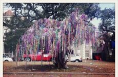 Tree of beads!