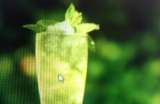 Absinthe Frappe Cocktail