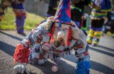 Ready to catch that Chicken!