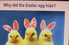 Why did the Easter egg hide?