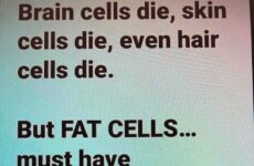 Brain Cells Die....
