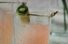 Chillin' Coolin' Melon Delight