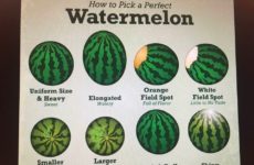 Today is TIP DAY! I know I am a little late getting this to you guys, but figure now days you can buy watermelon pretty much year-round! If no watermelons, save the chart for next season. This is a chart that tells you “HOW TO PICK A PERFECT WATERMELON!”
