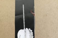 Skeleton Candy Apple