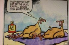 Get out of the sun Ralph!