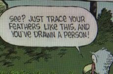 Just trace your feathers