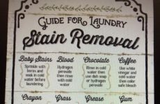 Stain Removal Guide