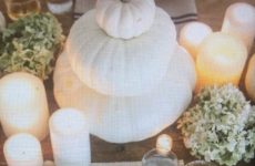 elegant pumpkins