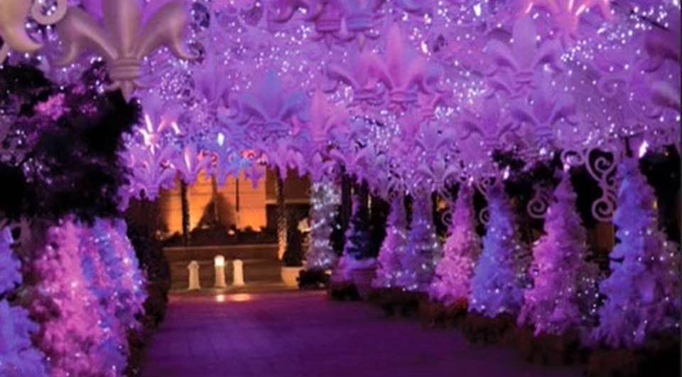 Festive Fleur Des Lis