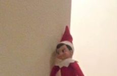 Elf doing Elf stuff!