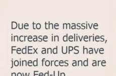 Due to the massive...