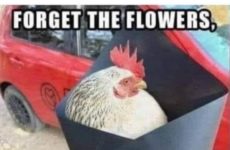 Don't forget the flowers!