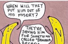 When will they put him out of his misery?