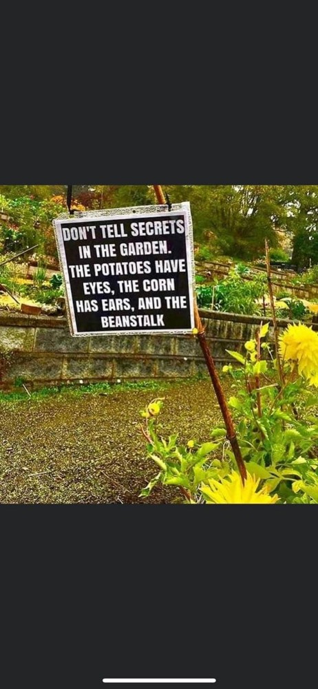 Don't tell Secrets in the Garden!