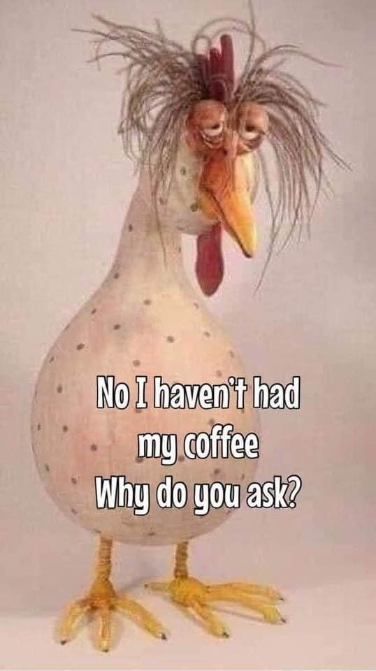 No I haven't had my coffee...