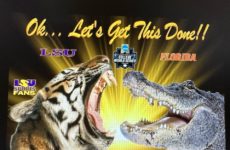 Not giving up on my Tigers! Geaux!