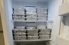 Christmas Pumpkin Breads wrapped and stored!