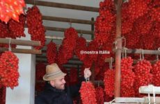 Wish my garden looked that fabulous!